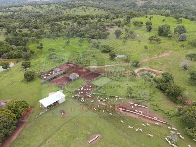 Fazenda