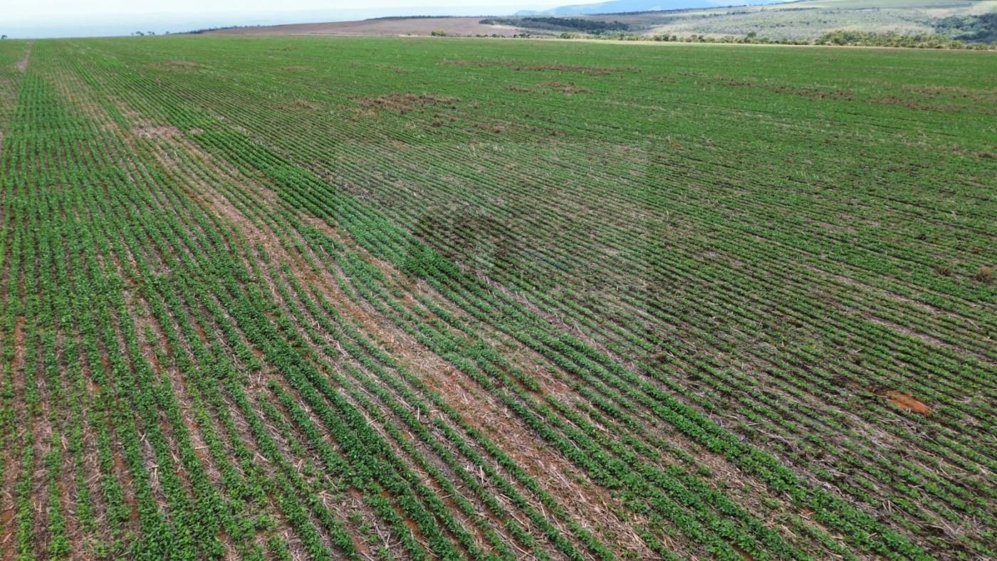 Fazenda