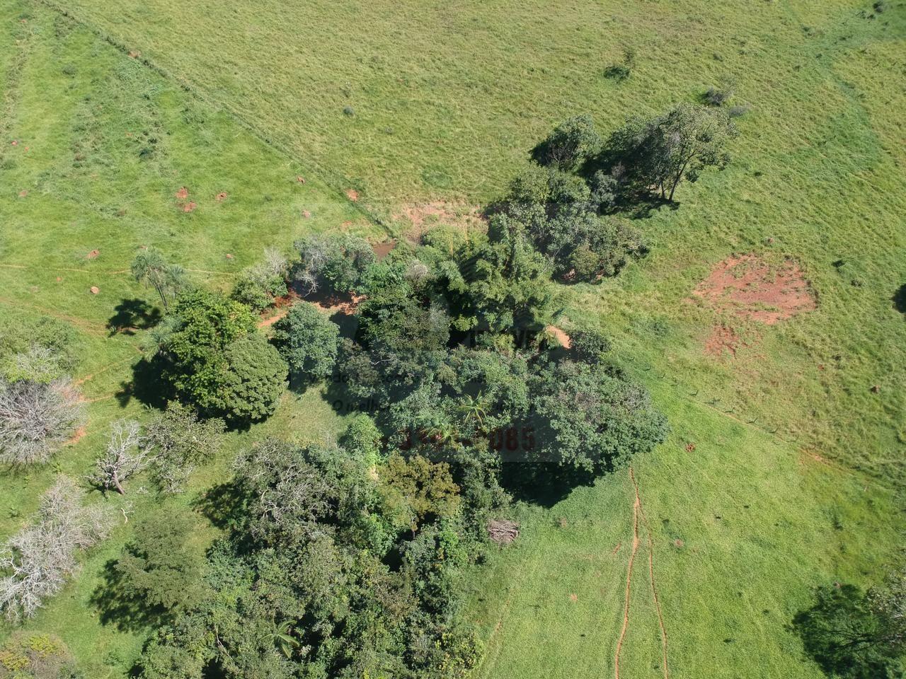 Fazenda
