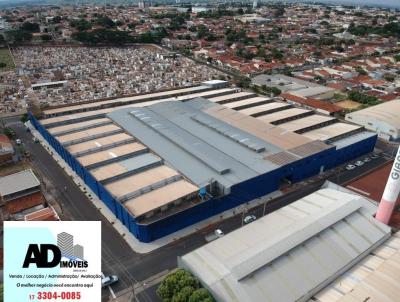 Barrac�o para Venda, em Mirassol, bairro Centro