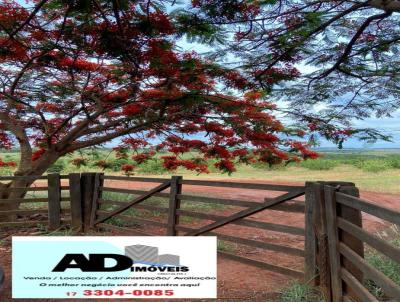 S�tio para Venda, em Palmeira D`Oeste, bairro Zona Rural