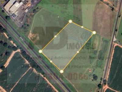 �rea para Venda, em Cedral, bairro Rodovia