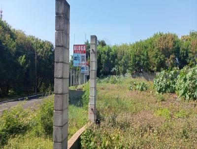 Terreno para Venda, em S�o Jos� do Rio Preto, bairro Eldorado