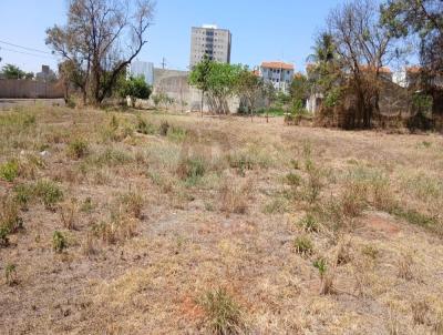 Terreno para Venda, em S�o Jos� do Rio Preto, bairro Residencial Ana C�lia