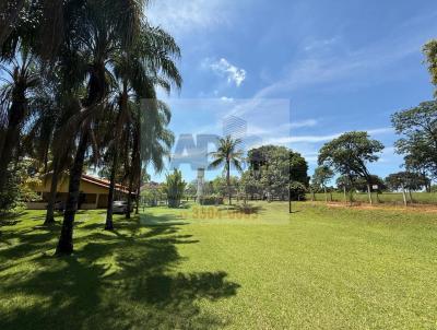 S�tio para Venda, em Bady Bassitt, bairro Zona Rural, 3 dormit�rios, 2 banheiros, 1 su�te