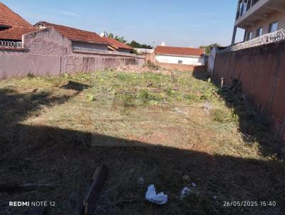 Terreno para Venda, em S�o Jos� do Rio Preto, bairro Boa Vista