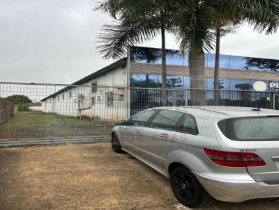 Barrac�o para Loca��o, em S�o Jos� do Rio Preto, bairro Distrito Industrial Waldemar de Oliveira Verdi
