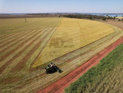 Fazenda para Venda, em Gouvel�ndia, bairro Zona Rural