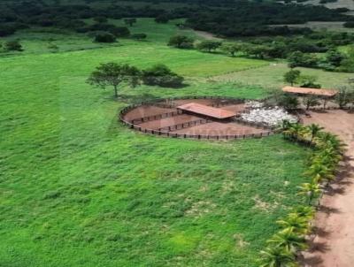 Fazenda para Venda, em Acorizal, bairro Zona Rural