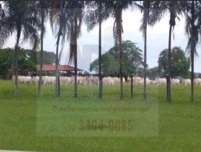 Fazenda para Venda, em Rondon�polis, bairro Zona Rural