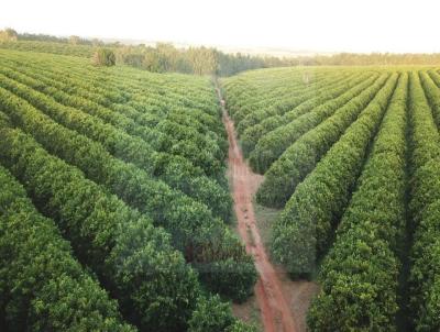 Fazenda para Venda, em Ipigu�, bairro Zona Rural