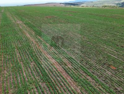 Fazenda para Venda, em �gua Fria de Goi�s, bairro Zona Rural