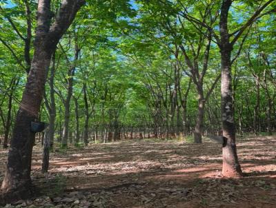 Fazenda para Venda, em Monte Apraz�vel, bairro Zona Rural